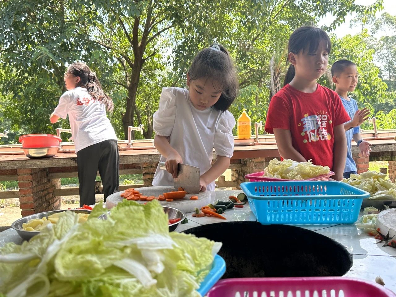 尊龙凯时·(中国)人生就是搏!